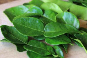 15 Manfaat Daun Jeruk Untuk Wanita
