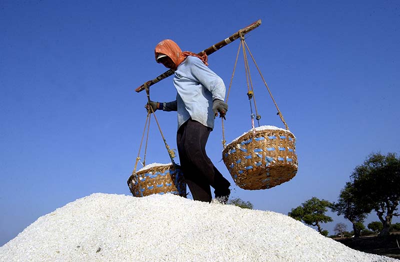 Produksi Garam Sampang Diprediksi Turun, karena La Nina