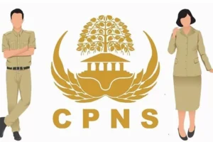 Syarat Formasi Khusus Disabilitas CPNS 2024 Lengkap dengan Ketentuan dan Dokumen yang Harus Disiapkan