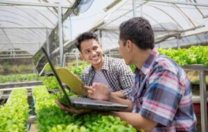 Cara Daftar NIB Online Secara Gratis dan Mudah