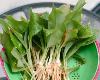 Cara Masak Daun Kencur