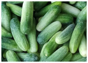 Manfaat Ketimun untuk Tubuh, Menyegarkan dan Menyehatkan