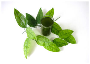 Manfaat Klorofil untuk Kesehatan, dari Detox Hati hingga Anti Kanker