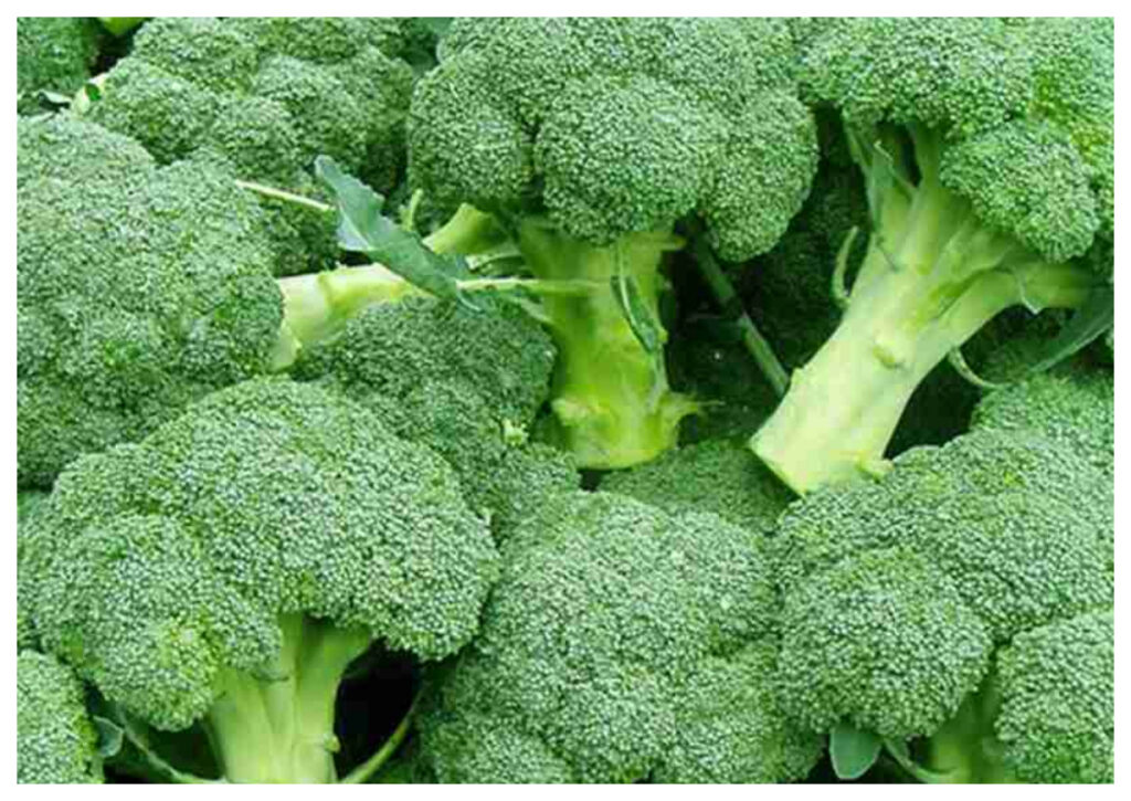 Rahasia Kulit Sehat dan Awet Muda: Manfaat Sayuran Berdaun Hijau untuk Wajah Bercahaya