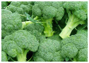Brokoli Hijau: Sayuran Serbaguna dengan Segudang Manfaat Kesehatan