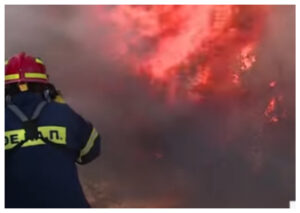 Bencana Kebakaran Hutan Ancam Athena, Pihak Berwenang Lakukan Evakuasi Besar-Besaran