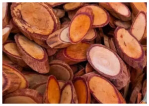 Manfaat dan Cara Mengonsumsi Akar Bajakah untuk Kesehatan Optimal