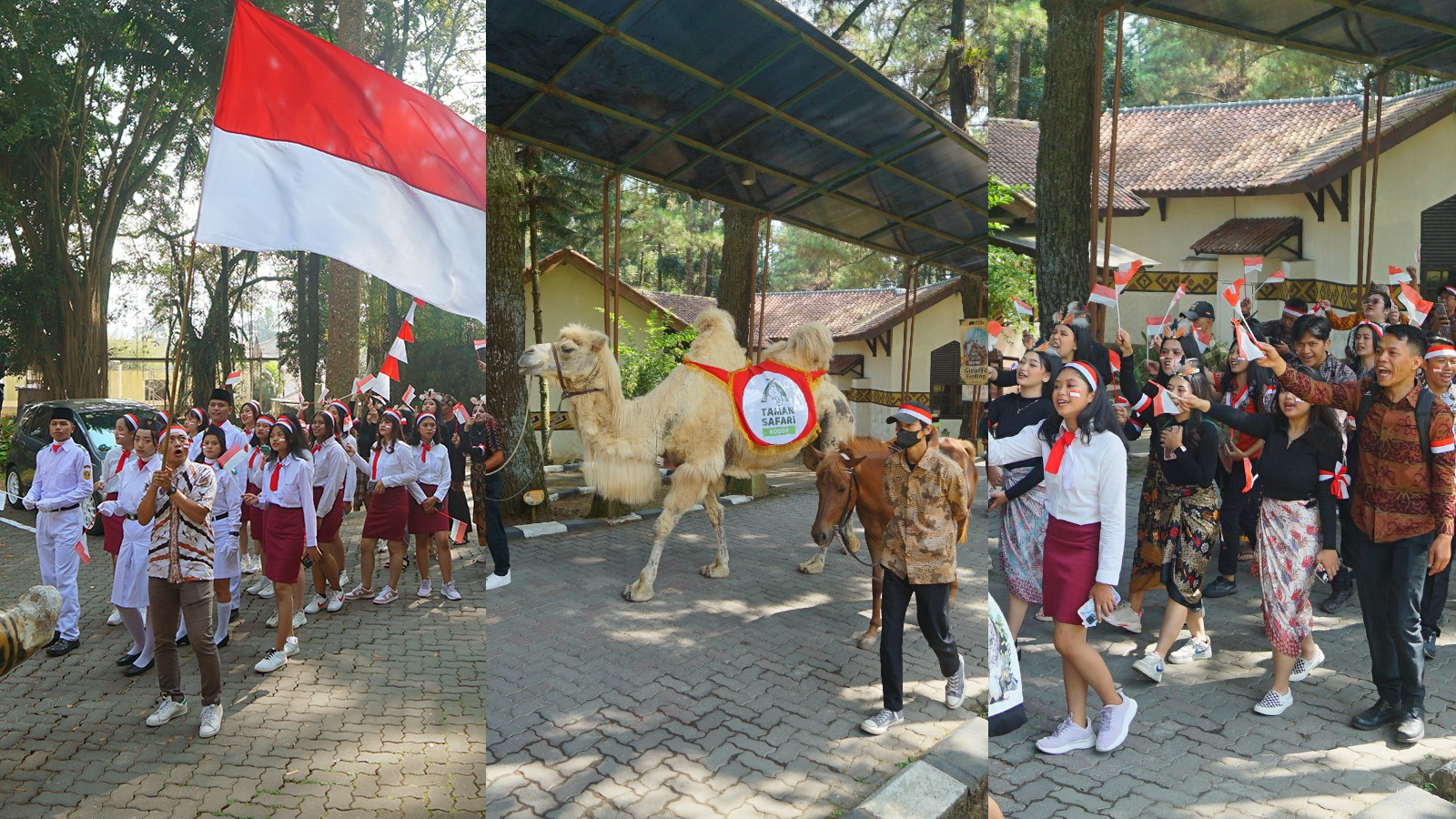 agustusan royal safari garden