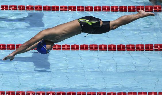 Induk Olahraga Renang di Indonesia