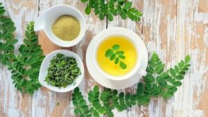 10 Manfaat Rebusan Daun Kelor yang Tak Terduga