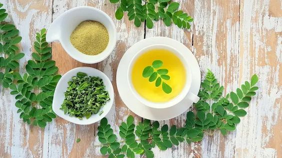 10 Manfaat Rebusan Daun Kelor yang Tak Terduga