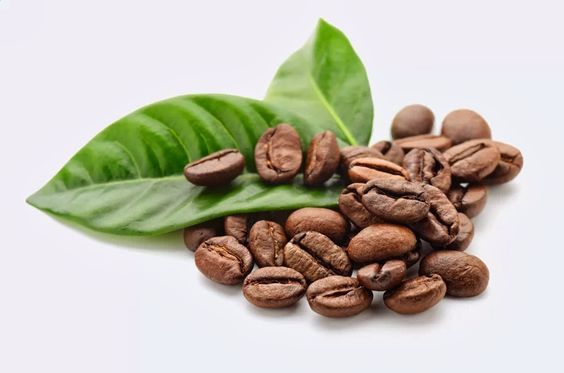 Cara Membuat Teh Daun Kopi Yang Nikmat