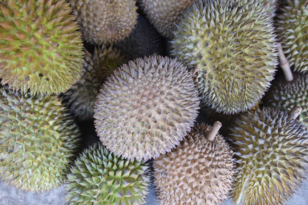 Buah durian
