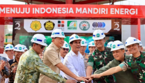 Penting, Pengelolaan Energi Berkelanjutan