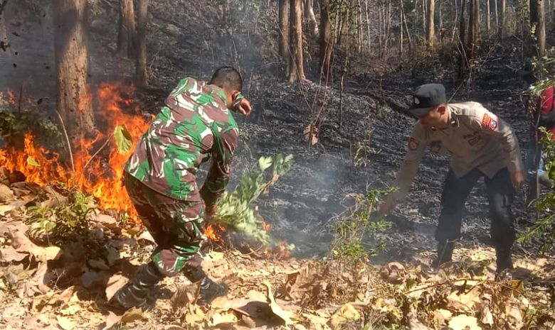 Terus Terjadi, Kebakaran Hutan dan Lahan di Ponorogo