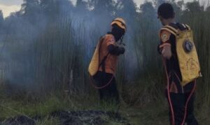 Titik Panas di Kalsel Capai Rekor Tertinggi di Agustus 2024