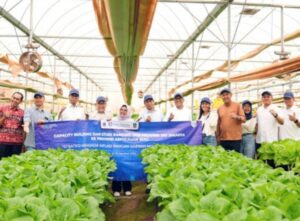 Kejar Pengendalian Inflasi, Jakarta Gandeng Kepri Pasok Komoditas Pangan