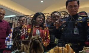 Petugas Bea Cukai Bandara Soetta Tangkap WNA Penyelundup Spesialis Hewan Dilindungi