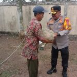 Kapolres Serang AKBP Condro Sasongko menyerahkan kambing kepada pemilik usai dicuri begal.