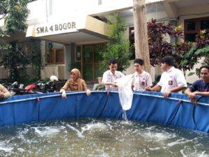 SMAN 4 Kota Bogor Cetak Siswa Berjiwa Wirausaha Lewat Budidaya Ikan Nila