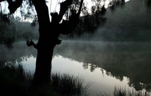 Ranu Regulo Semeru Dibuka, Wisatawan Dibatasi 300 orang sehari