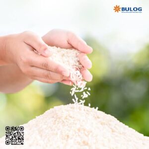 Kementan Alokasikan Rp23,61 Triliun Untuk Dukung Swasembada Beras, Ini Rinciannya Menurut Menteri Pertanian