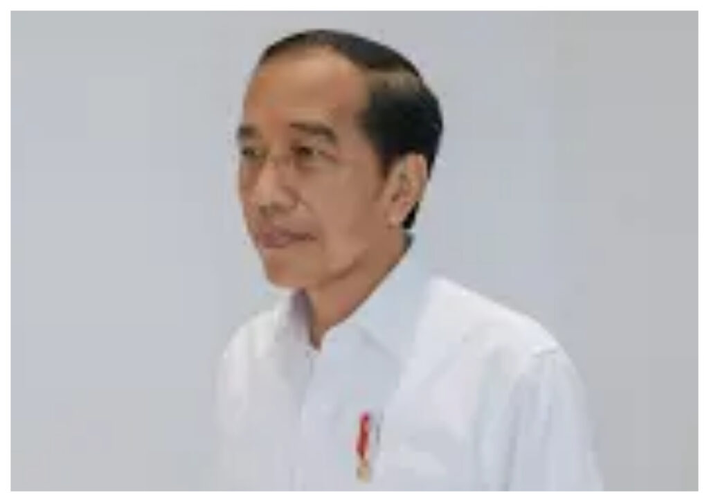 Ini Komentar Presiden Jokowi Soal Kasus Gratifikasi Jet Pribadi Kaesang