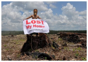 Paru-Paru Dunia Terancam, dari Amazon hingga Kalimantan Perjuangan Melawan Deforestasi Global