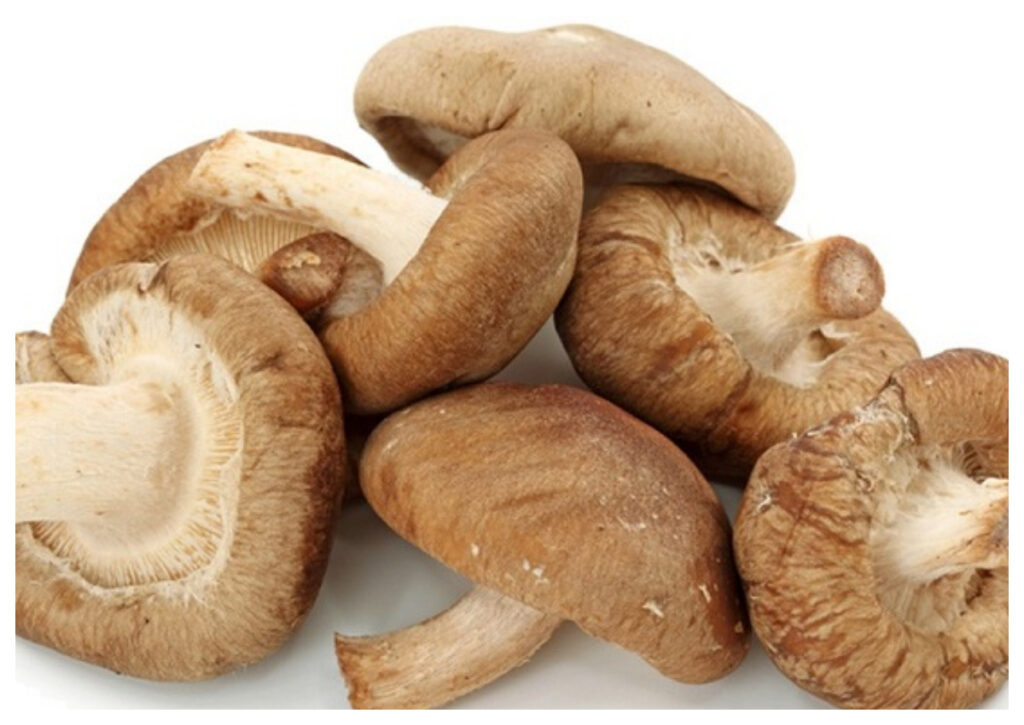 Manfaat Jamur Shitake untuk Tubuh