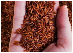 Panduan Lengkap Lawan Resistensi Insulin: 4 Jenis Makanan Ini Bantu Kontrol Gula Darah dan Pulihkan Energi