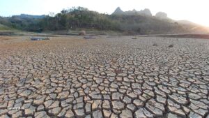 Waduk Bendo yang Diresmikan Jokowi di Ponorogo Mengering
