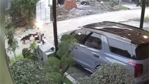 Anjing Herder Disuntik Mati, setelah Menyerang Warga Semarang