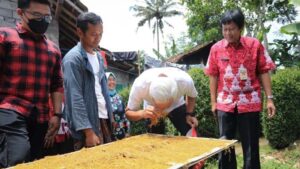 Ekspor Daun Talas Penganti Tembau Warga Sukoharjo Semarang