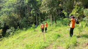 SAR dan 50 Warga Mencari Lansia 80 Tahun Hilang di Hutan