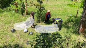 Tak Paham Medan 2 Remaja Kertosono Terjun di Jurang Sarangan