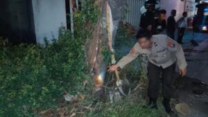 Ngebut Naik Vario Pemuda Kediri Tabrak Pohon Menemui Ajalnya