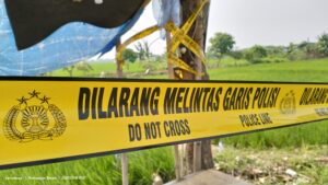 Tersengat Listrik Pengusir Tikus, Pemuda Tewas di Tengah Sawah