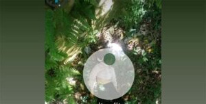 Terungkap Misteri Mayat Wanita Berambut Panjang Warga Kediri