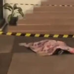 Catatan Terakhir Mahasiswi Untar Diduga Bunuh Diri, Ada Tekanan Batin?