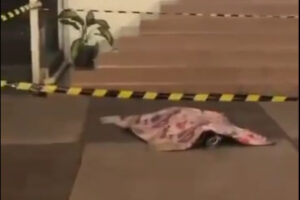 Catatan Terakhir Mahasiswi Untar Diduga Bunuh Diri, Ada Tekanan Batin?