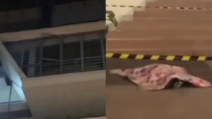 Detik-Detik Mahasiswi Untar Tewas di Halaman Kampus Terekam CCTV