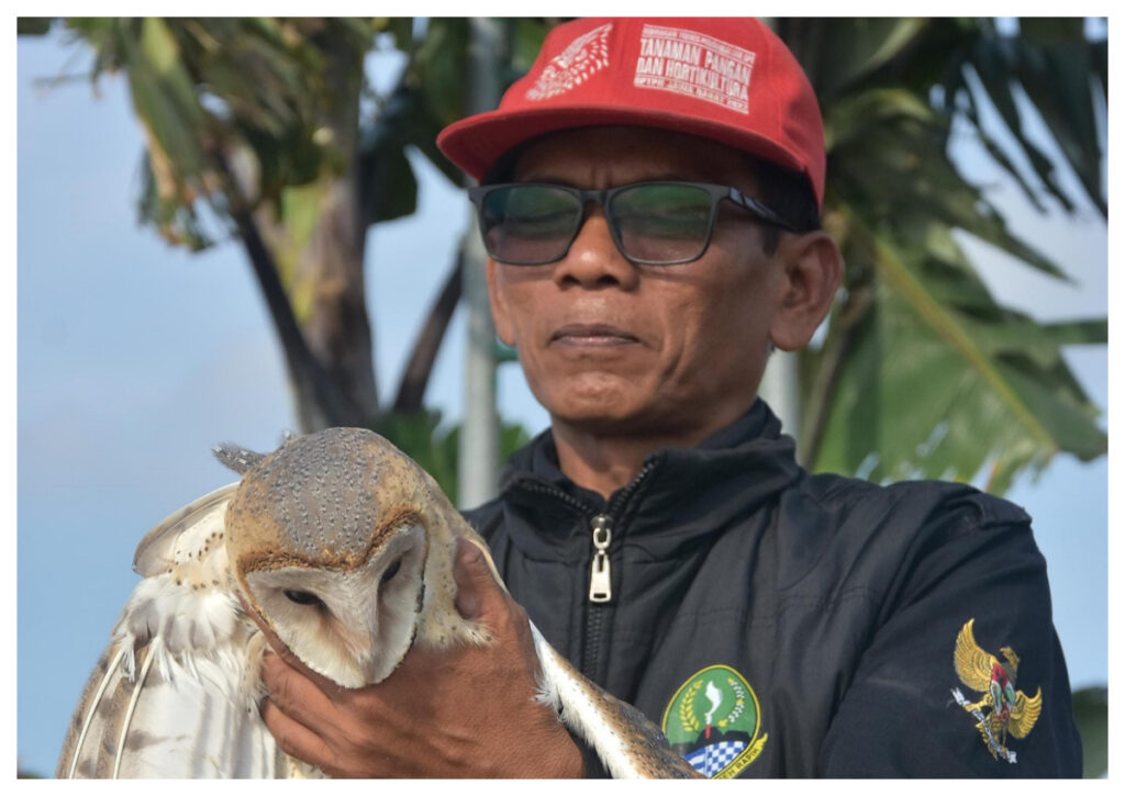 Demang Darmadi: Pelopor Inovasi Rumah Burung Hantu untuk Pengendalian Hama Tikus di Bekasi