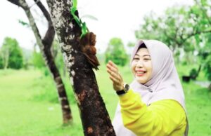 Di Tengah Guncangan, Bagaimana Peluang Acil Odah untuk Menjadi Gubernur Kalsel?