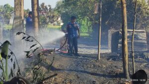 Peternakan Ayam Potong di Serang Ludes Terbakar