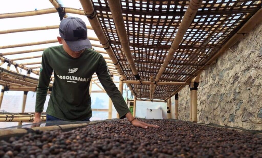 Nanang Ruhimat, Kenalkan Kopi Aria, Mengangkat Kopi Lokal Sumedang