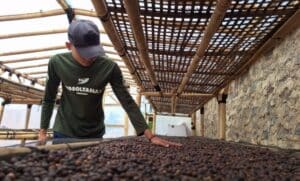 Nanang Ruhimat, Kenalkan Kopi Aria, Mengangkat Kopi Lokal Sumedang