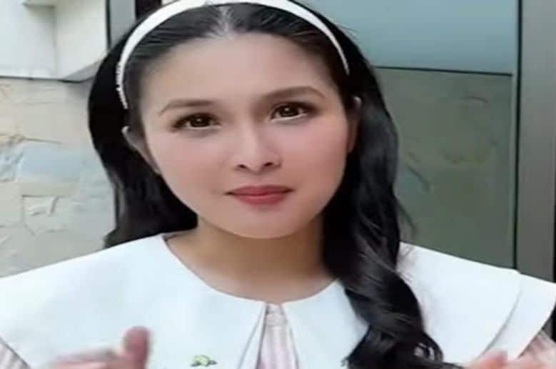 sandra dewi