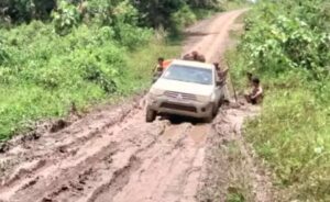 Dinas Kehutanan Kalsel Amankan Puluhan Kayu Ulin Diduga Hasil Illegal Logging