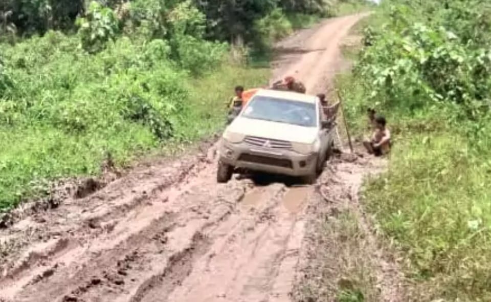 dinas kehutanan kalsel