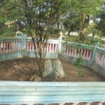 makam uyut ambiya